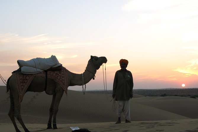 Shahi Half Day Sunset Camel ride & Cultural program & dinner - Camel ride at sunset: how to get the best experience out of it