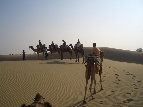 Shahi Over Night camel safari non touristic sand dune - Key highlights worth your attention