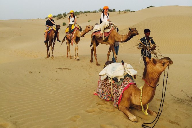 Shahi Over Night camel safari non touristic sand dune - Day 2: Thar Desert sunrise timing that actually matters