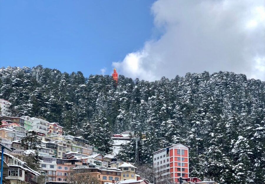 Shimla: Guided Walk Tour-Heritage, Culture & Colonial Trail - Price and what $16 actually buys you