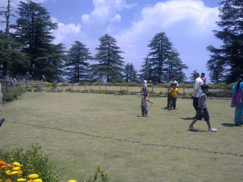 Shimla: Hiking Tour to Jakhu Hill with Local Guide - The climb to Jakhoo Temple: pace, benches, and how to manage monkeys