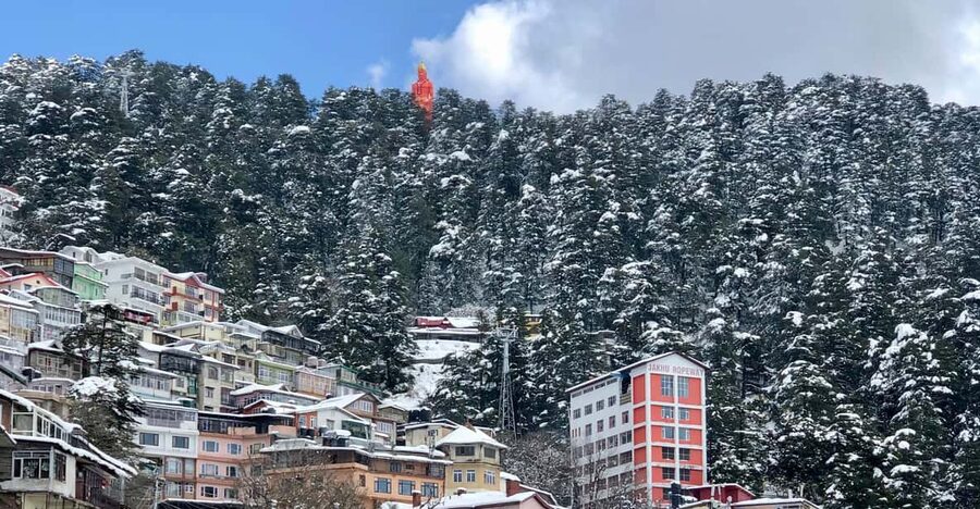 Shimla: Hiking Tour to Jakhu Hill with Local Guide - Jakhoo Temple visit: why the stop is about more than the photo