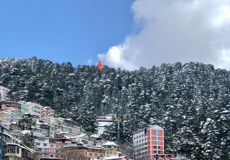 Shimla: Hiking Tour to Jakhu Hill with Local Guide - Who should book this, and who should skip it