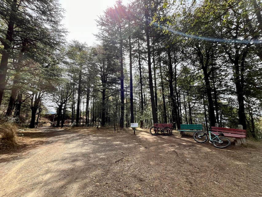 Shimla: Wildlife Sanctuary & Water Catchment Guided Tour - Why Shimla’s water catchment feels so calm