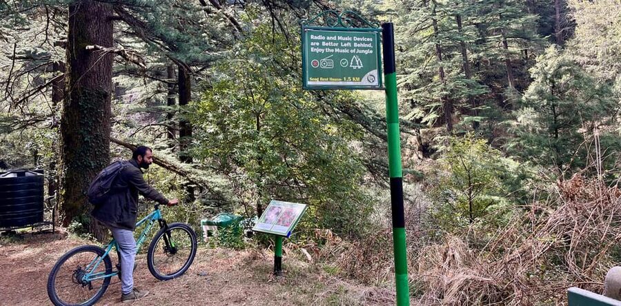 Shimla: Wildlife Sanctuary & Water Catchment Guided Tour - The half-day flow: from pickup to forest trails