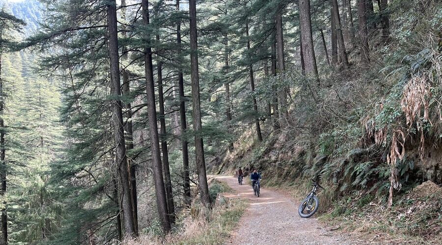 Shimla: Wildlife Sanctuary & Water Catchment Guided Tour - The Seog Water Tank stop, and the water story behind it