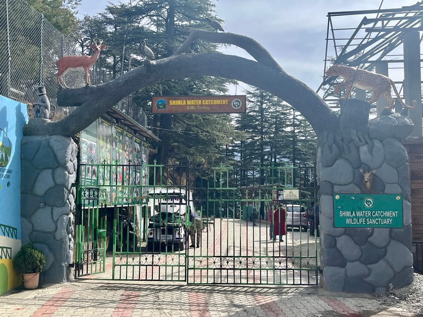 Shimla: Wildlife Sanctuary & Water Catchment Guided Tour - The value question: is $26 worth it for 4 to 5 hours?
