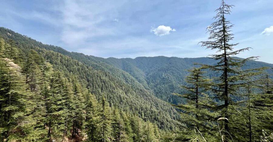 Shimla: Wildlife Sanctuary & Water Catchment Guided Tour - Bicycle, e-rickshaw, or a guided walk: pick your comfort level