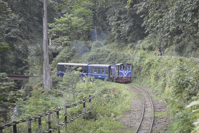 Sikkim Darjeeling - North East India 7 Nights 8 Days Tour - Arriving Darjeeling, then getting your bearings fast (Day 1)