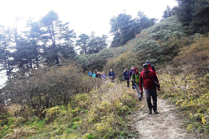Singalila Ridge Trek from Darjeeling - 6 Days - Gorkhey to Timburey: village trails, stream junctions, home stay nights