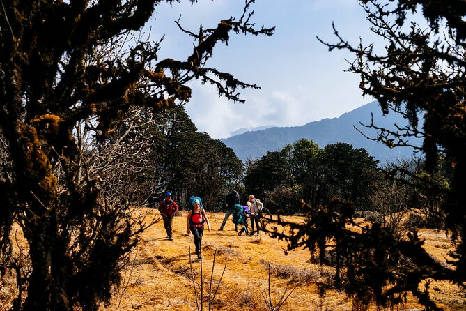 Singalila Ridge Trek from Darjeeling - 6 Days - Timburey to Rimbeek: the easier walking day and the finish