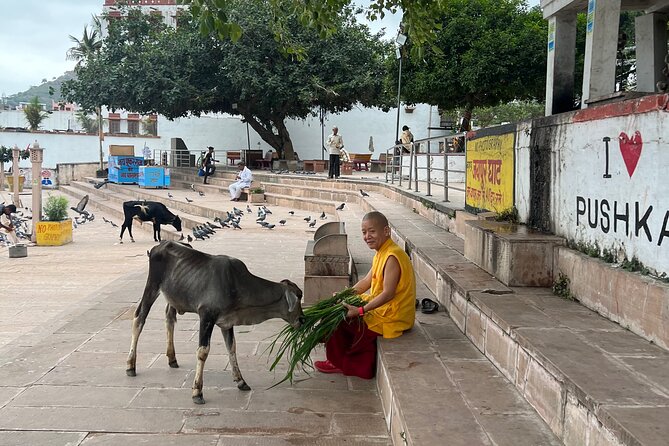 Spiritual City Walking Tour-THE Pushkar Route - Pace, group size, and why it feels manageable