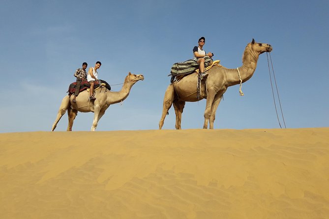 SR Camel Safari Tour Osian-Jodhpur - Quick hits before you go