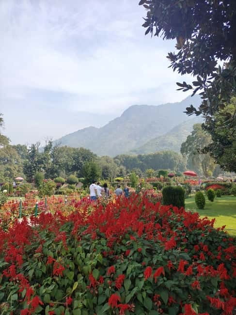 Srinagar: Private Old City and Mughal Gardens Guided Tour - Pari Mahal and the Route Variety That Keeps the Day Interesting