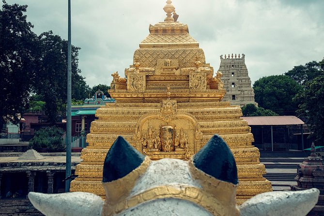 Srisailam Temple full day excursion tour - Key things to know before you go