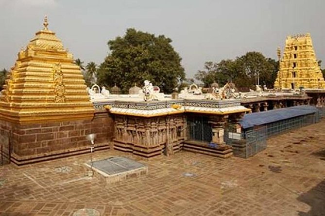 Srisailam Temple full day excursion tour - The drive: a long road that can turn into a wildlife moment