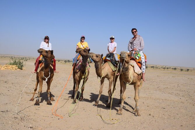 Sun to Stars - Full-Day Ride & Overnight in the Dunes - Meeting your camel, and riding with a desert guide (not just a driver)
