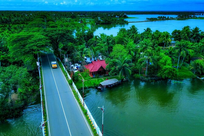Sunrise Cruise with Village Life and Local Food - Canoeing at first light: pink lilies, wetland birds, and real morning routines