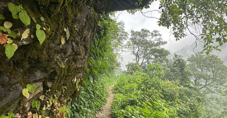 Sunrise Day Hike in Rishikesh - Kunjapuri Sunrise: the value is in the whole morning