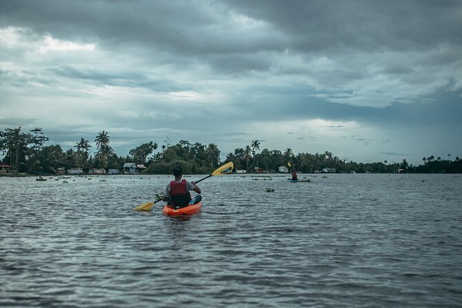 Sunrise Kayaking in Magical Alleppey Backwater Village - Why sunrise kayaking in Alleppey is a different kind of travel day