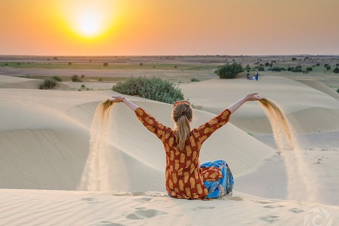 Sunset Safari With Dinner - How the safari flows, from 3:00 pm pickup to returning near 10:00 pm