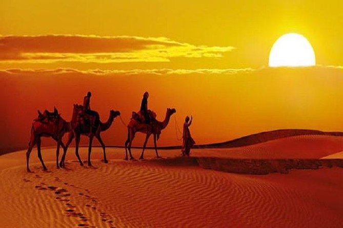 Sunset Safari With Dinner - Value for money: why the $35 price feels fair here