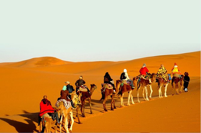 Sunset Safari With Dinner - Jassery Oasis (or Lake) stop: a break from sand before the ride