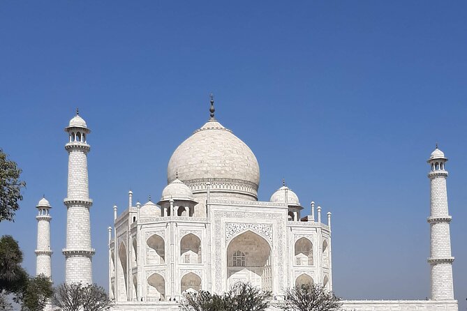 Taj mahal Private Tour with Entry Ticket and Guide - Mobile ticket and smooth entry day-of tips