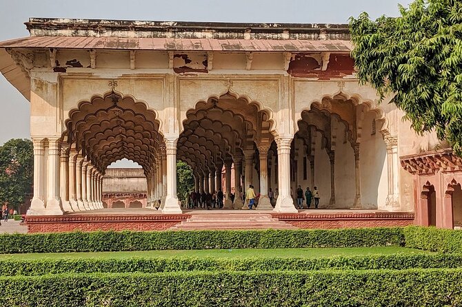 Taj Mahal Sunrise Tour with Elephant Conservation From Delhi - Sunrise Taj Mahal Timing, Tickets, and First-Light Photo Reality