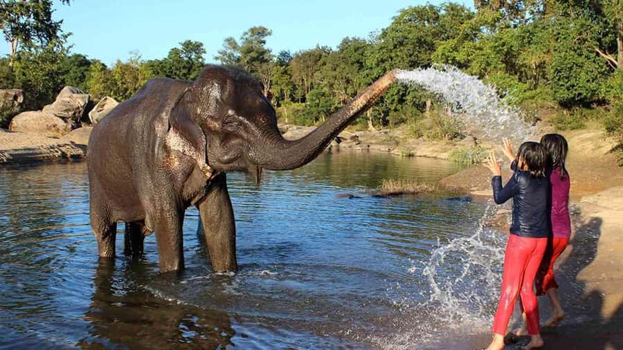 Taj Mahal Tour with Optional Wildlife Rescue Center Visit - Key things to look forward to