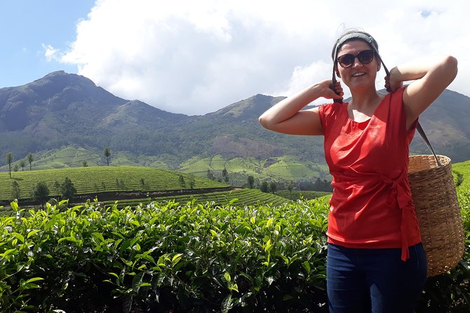Tea Farm Tourism - Key things that make this tea farm tour work