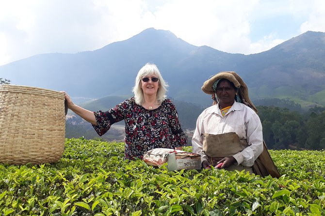 Tea Farm Tourism - How the tour flows from 9:00 am at KSRTC Munnar