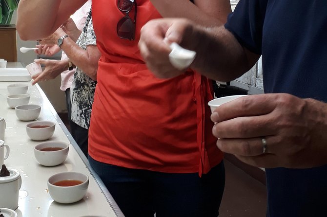 Tea Farm Tourism - Booking with D Trek Munnar Adventure: what to keep in mind
