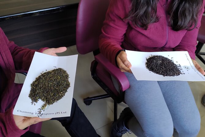 Tea Pluckers' Day - 8:30 am Pickup, Then a Real Tea Estate Day in 5 to 6 Hours
