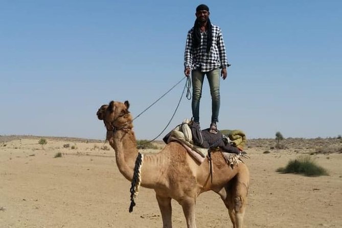 Thar Desert Camel Tour, Guide with over 25 years of experience! - Key Things I’d Prioritize