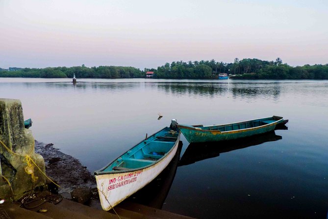 The Divar Island Exploration - Boat Ride Through the Mangroves, Plus a Chance to Spot Wildlife