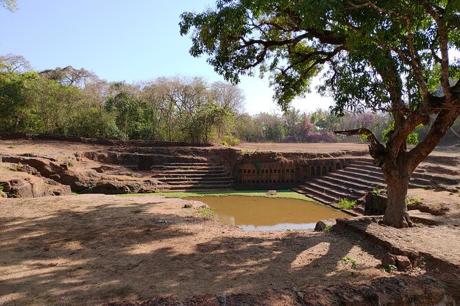 The Divar Island Exploration - Food, Feni Tasting, and the Small Extras That Add Up