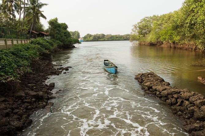 The Divar Island Exploration - Price and Value: What You Get for About $21.19