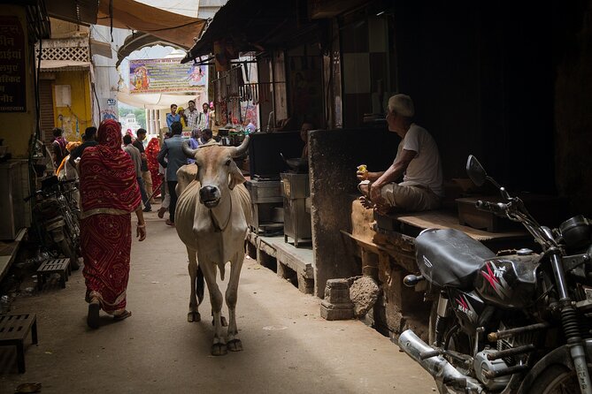 The Ultimate 3 Days in Varanasi - How to Spend 39 Hours - For First Timers - Day 2: Assi Ghat Morning Aarti, Hand-Rowed Boat Ride, and Manikarnika