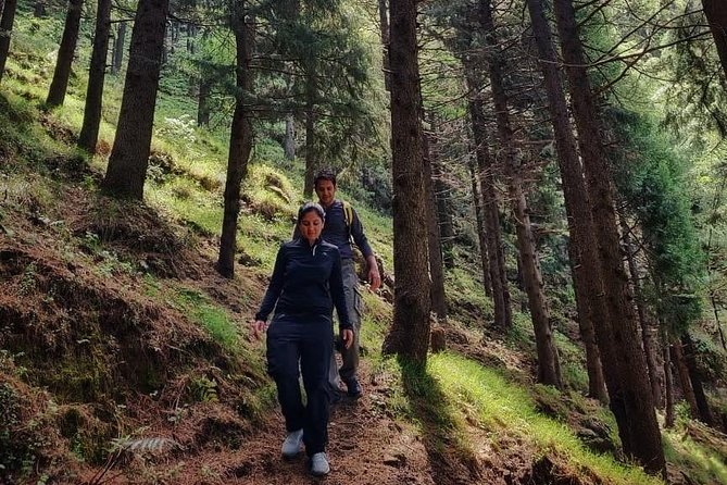 Top Tibba Trek - Mussoorie - Meeting on Mall Road, then getting moving fast