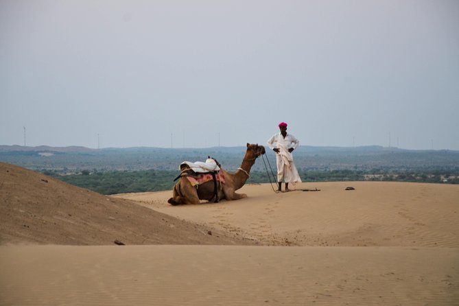Traditional Desert Experience - Key Highlights You Should Know