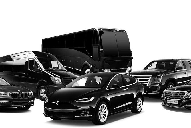 Transport Near BWI Dulles Reagan National Airports - Inside the car: comfort, WiFi, and kid-friendly details