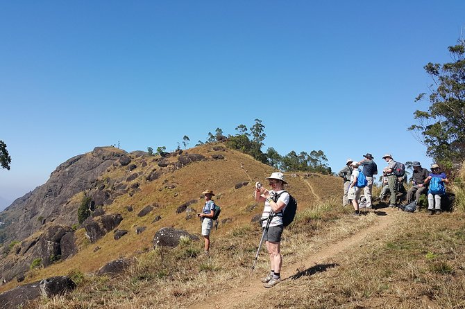 Trekking in Munnar - Quick Highlights I’d Plan Around