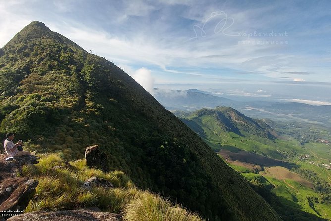 Trekking in Munnar - Tea Plantations First: Why That Opening Walk Is More Than Scenic