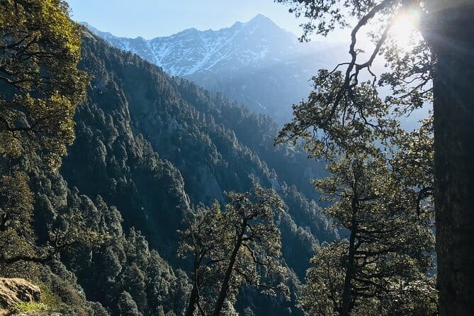 Triund Trek & Snow Line Trek - Day 2 Descent Back to Dharamkot and Bhagsu Waterfall Sightseeing