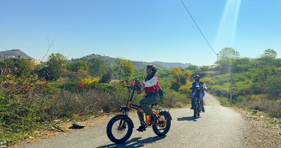 Udaipur: Off-the-Beaten Path Guided E-Bike Tour - Countryside lanes, reservoirs, and the magic tree stop
