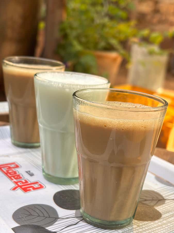 Udaipur: Off-the-Beaten Path Guided E-Bike Tour - Tea in earthen pots, plus a real rural village visit