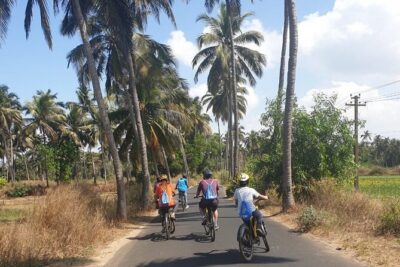 Varca Coastal E-Bike Tour: Scenic Beachside Adventure