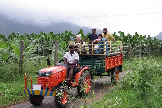 Village Bike Tour & Birdwatching - The ride: 25 km of backroads, wetlands, fish farms, and Chinese nets