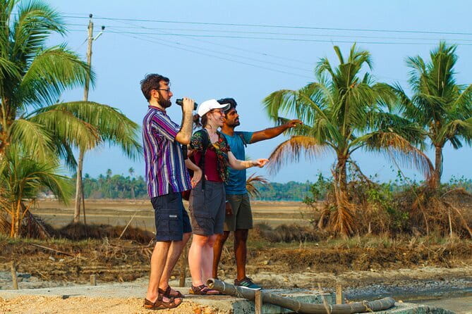 Village Bike Tour & Birdwatching - By ferry to Changaram Wetland: second chance at birds